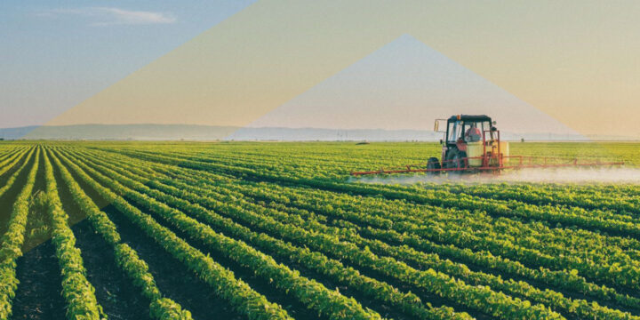 Carbon farming management options in Western Australia